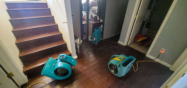 Best Flood restoration services  in Noyack, NY