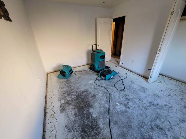 Best Mold removal after water damage  in Noyack, NY