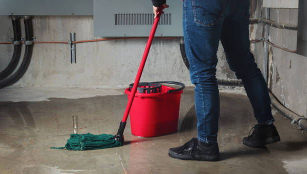 Best Local water damage restoration  in Noyack, NY
