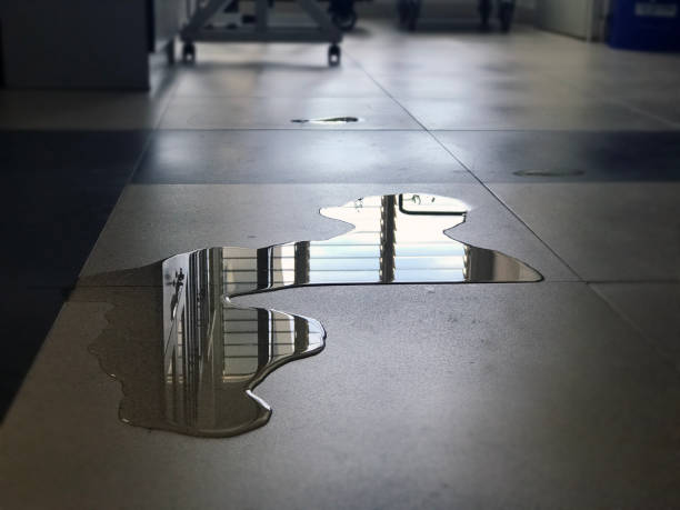 Best Water damage restoration near me  in Noyack, NY