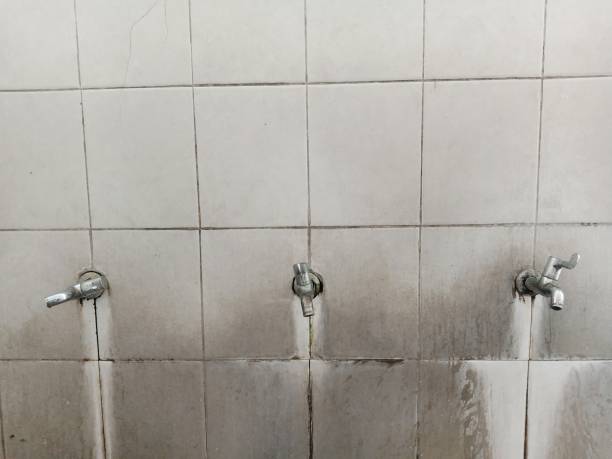 Best Fire Damage Restoration  in Noyack, NY