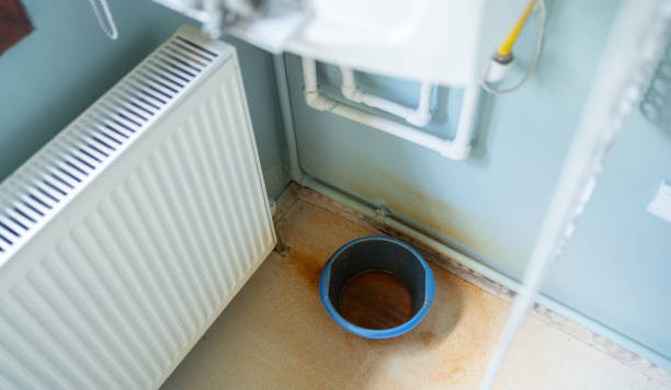 Best Mold removal after water damage  in Noyack, NY