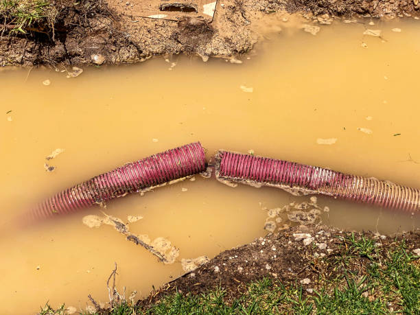 Best Water damage contractors near me  in Noyack, NY