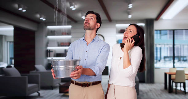 Best 24-hour water damage restoration  in Noyack, NY